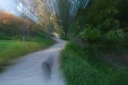 paranormal