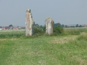 CIMG2784